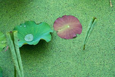 未来游戏展：免费多人竞速新作《托盘竞速》公布